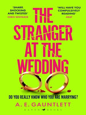 The Stranger at the Wedding - ebook